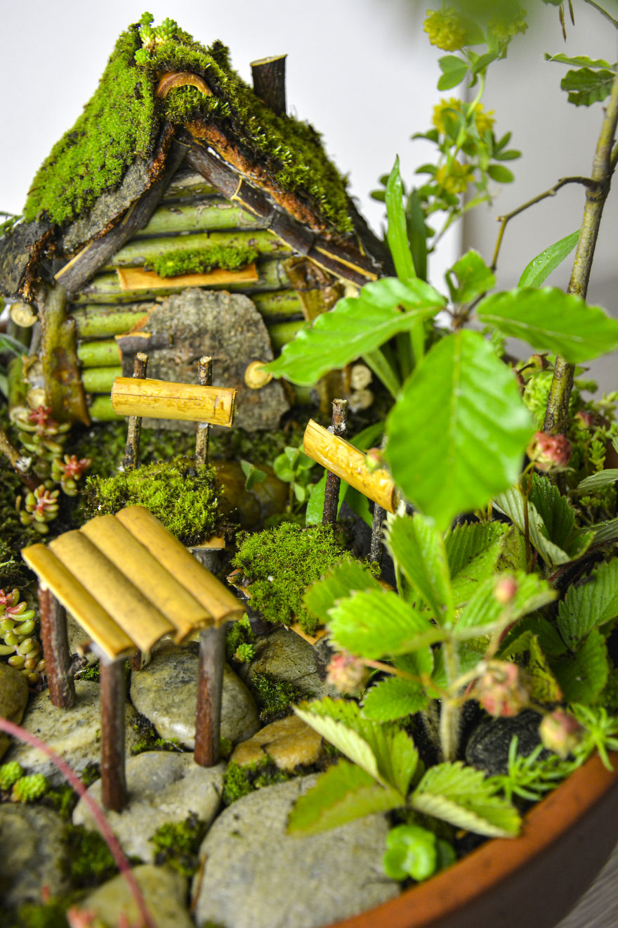 I Started Making Tiny Gardens At Home To Relax From My Everyday Job (28 Pics) I Started Making Tiny Gardens At Home To Relax From My Everyday Job (28 Pics)