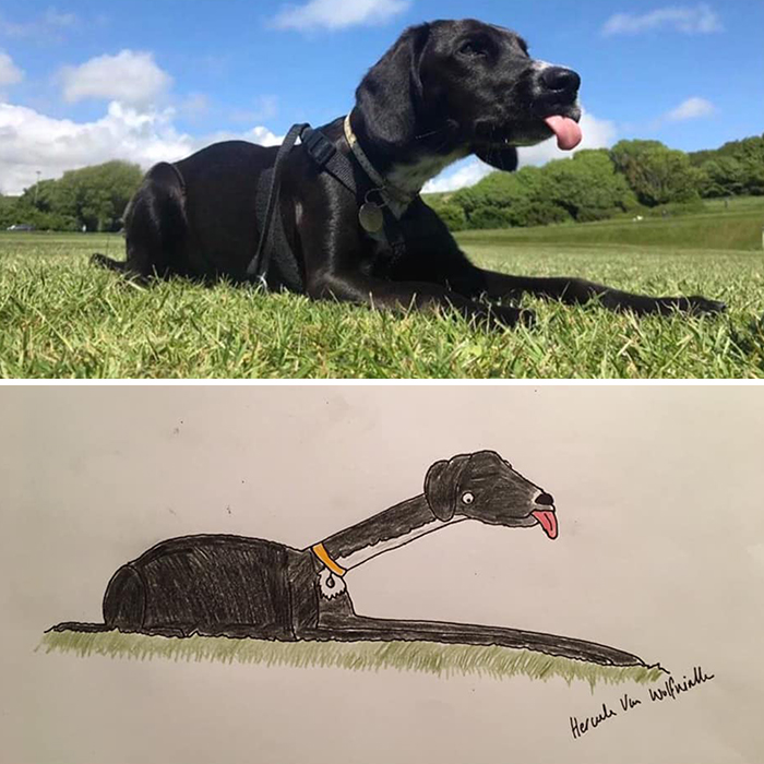 Pet Portraits Charity