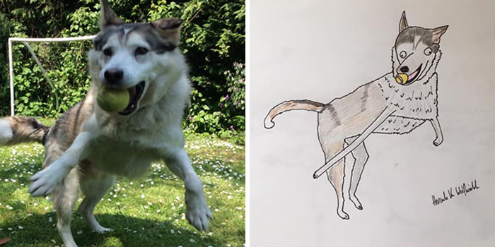 Pet Portraits Charity