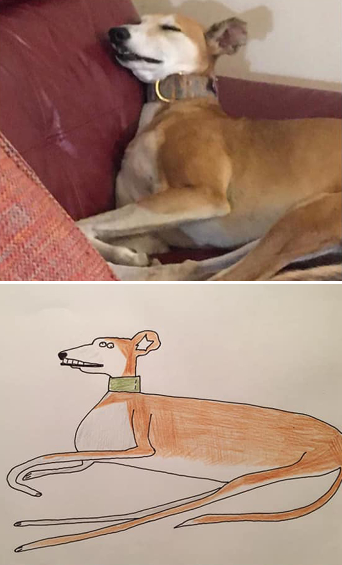 Pet Portraits Charity