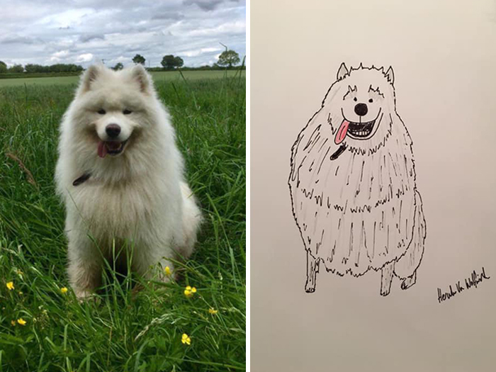 Pet Portraits Charity