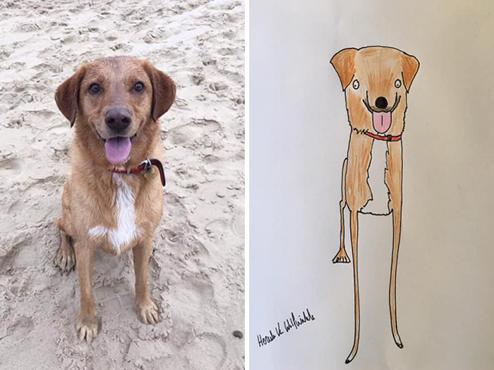 Pet Portraits Charity