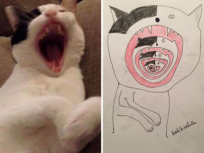 Pet Portraits Charity