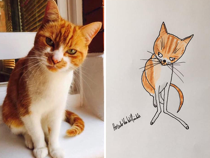 Pet Portraits Charity