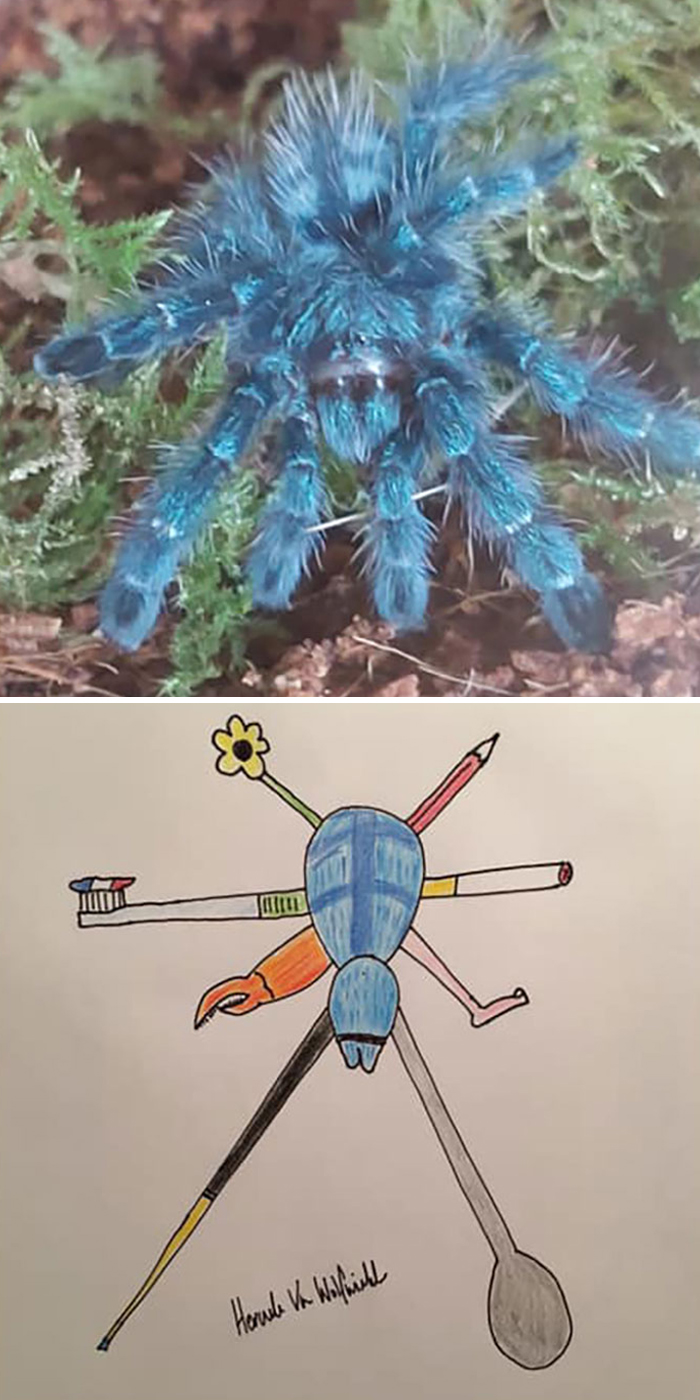 Pet Portraits Charity