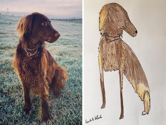 Pet Portraits Charity