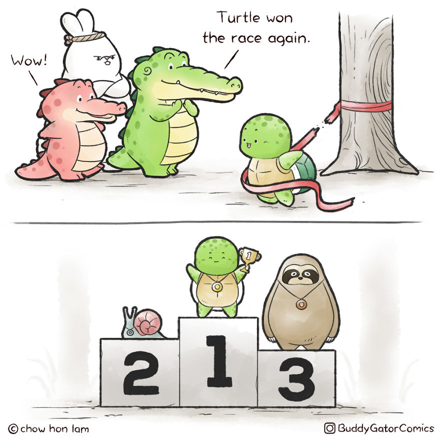 Turtle Won Again