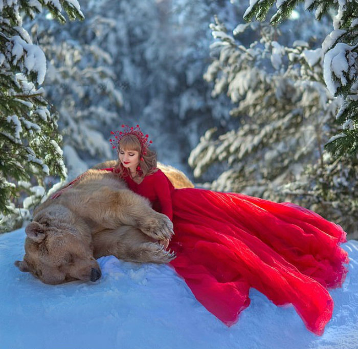 A Russian brown bear lying in snow with a woman in a flowing red dress in a snowy forest setting.