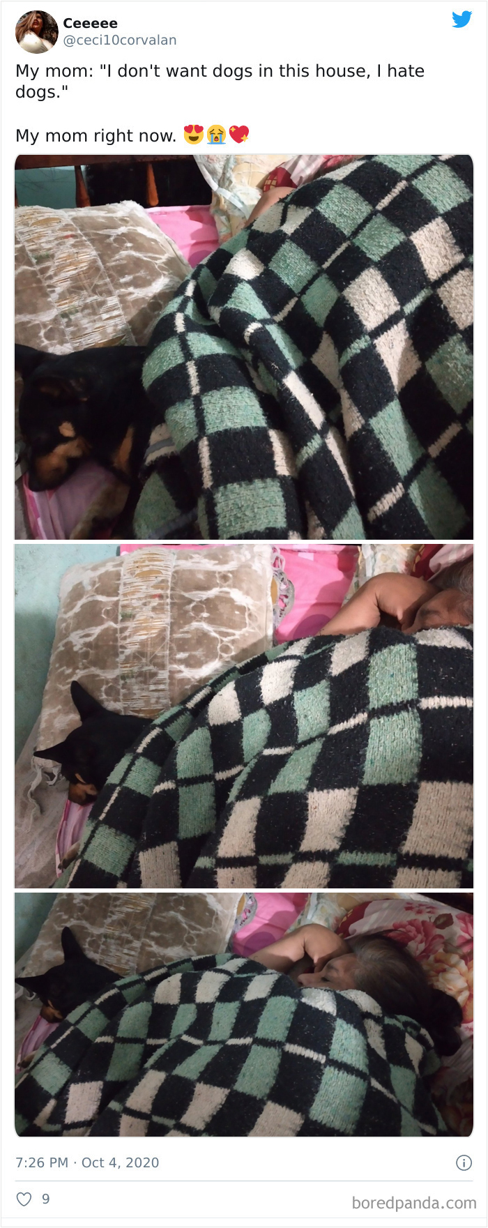 Latina-Moms-Who-Did-Not-Want-A-Dog