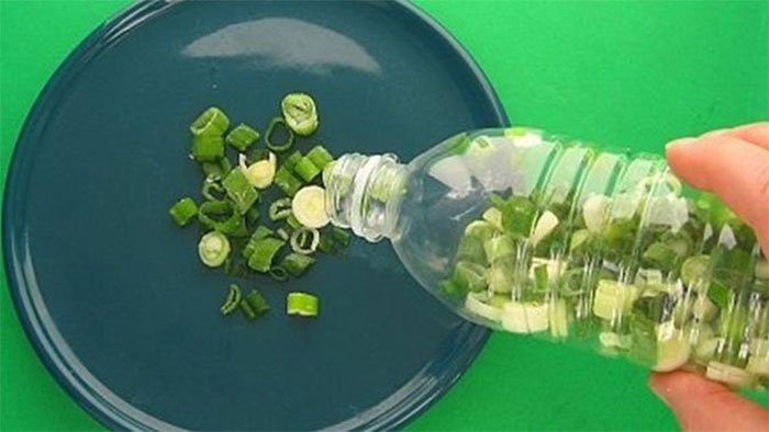 Freeze Green Onions In A Plastic Bottle