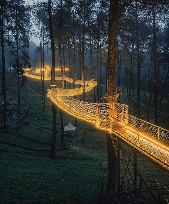 This Forest In Indonesia Is Home To A Magical Bridge Of Lights Suspended Among Trees This Forest In Indonesia Is Home To A Magical Bridge Of Lights Suspended Among Trees
