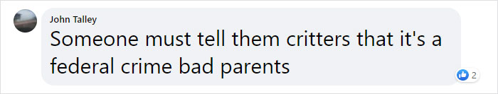 These 2 Sneaky Raccoons Broke Into A Bank In California These 2 Sneaky Raccoons Broke Into A Bank In California