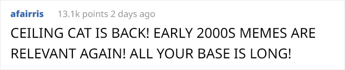 This Shop Owner Installed A Glass Ceiling For His Cats And Now They Won't Stop Staring At Him This Shop Owner Installed A Glass Ceiling For His Cats And Now They Won't Stop Staring At Him
