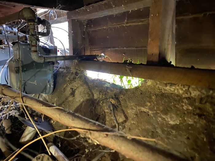 Bizarre-Structural-Inspections