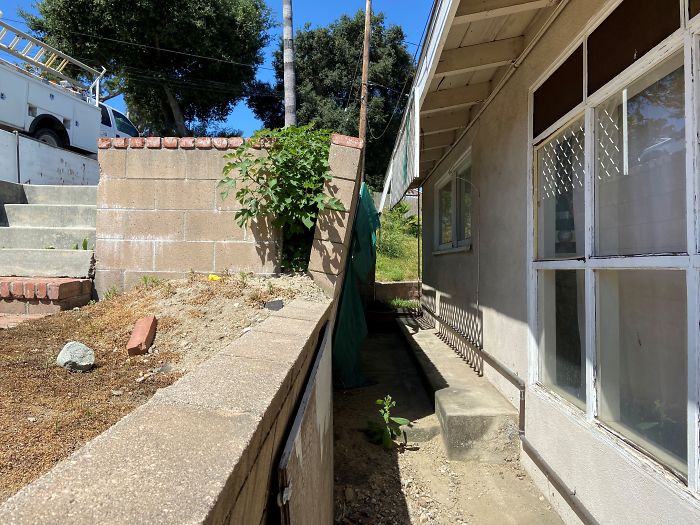 Bizarre-Structural-Inspections