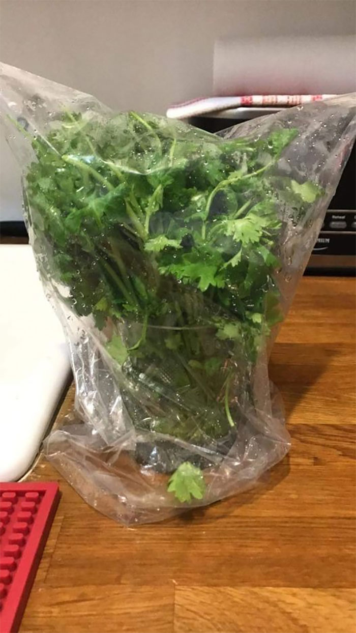 Store Delicate Herbs Like Flowers, Then Cover With Plastic, Secure With A Rubberband, And Refrigerate
