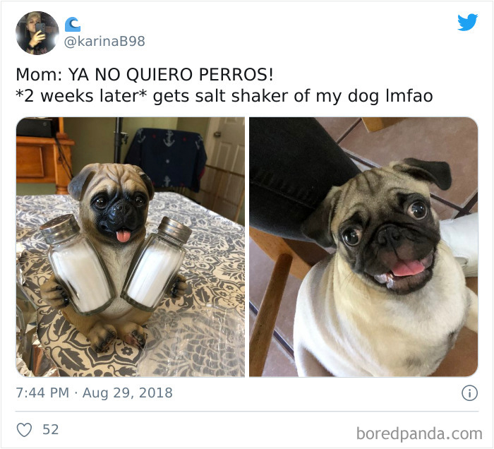 Latina-Moms-Who-Did-Not-Want-A-Dog