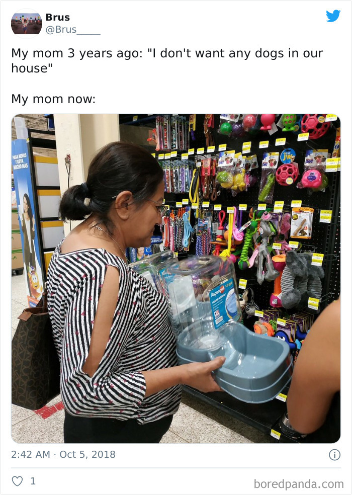 Latina-Moms-Who-Did-Not-Want-A-Dog