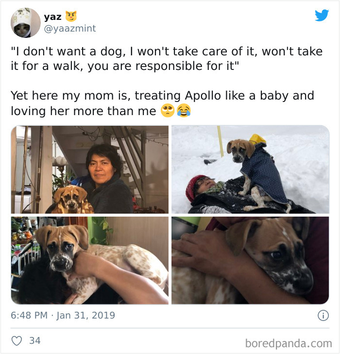 Latina-Moms-Who-Did-Not-Want-A-Dog