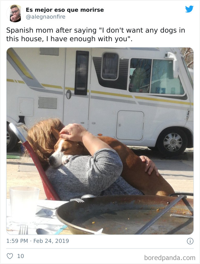 Latina-Moms-Who-Did-Not-Want-A-Dog