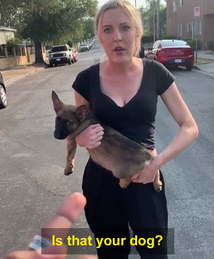 Woman Throws A Puppy At A Man, He Refuses To Give It Back And Shares How Happy The Doggy Is Now Woman Throws A Puppy At A Man, He Refuses To Give It Back And Shares How Happy The Doggy Is Now