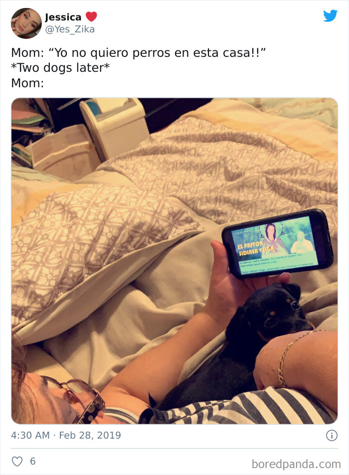 Latina-Moms-Who-Did-Not-Want-A-Dog