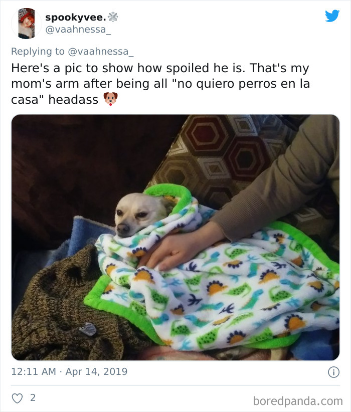 Latina-Moms-Who-Did-Not-Want-A-Dog