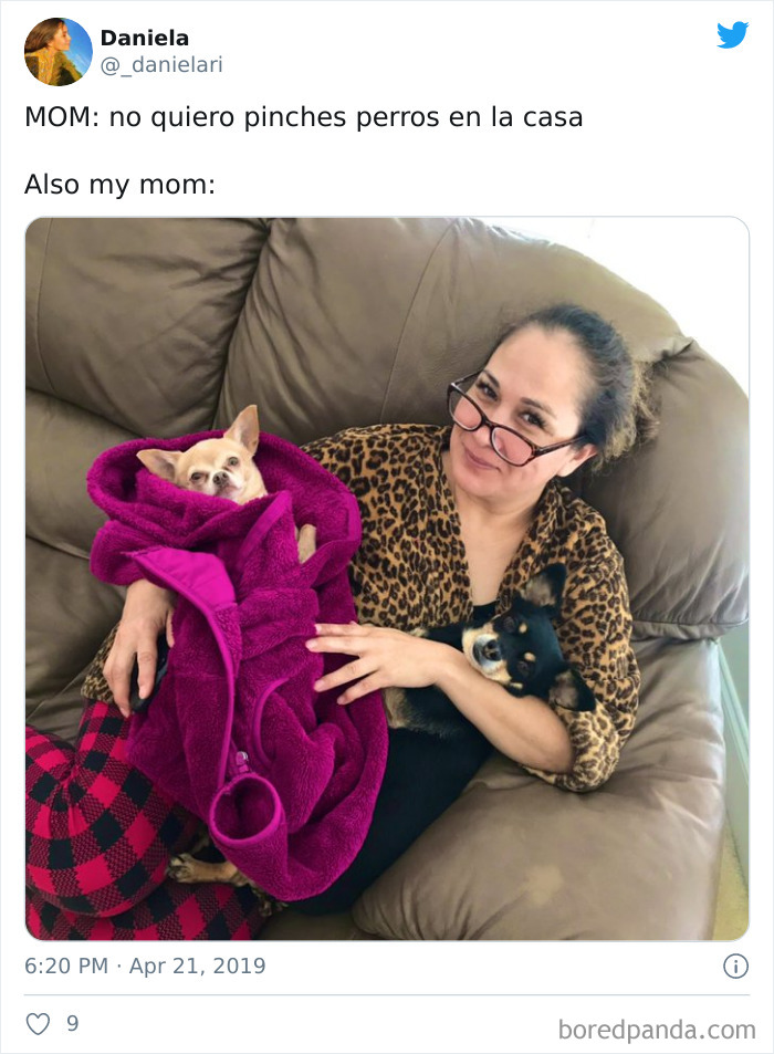 Latina-Moms-Who-Did-Not-Want-A-Dog