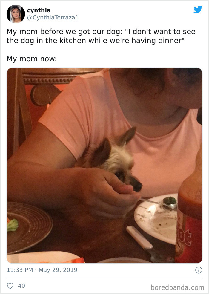 Latina-Moms-Who-Did-Not-Want-A-Dog