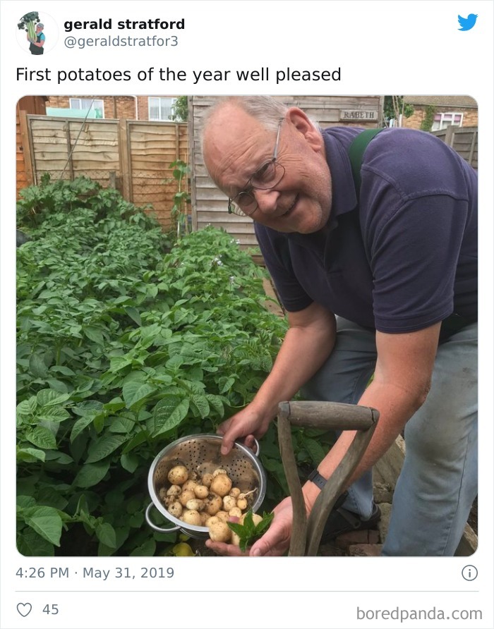 Gardener-Posts-Veggie-Photos-Gerald-Stratford