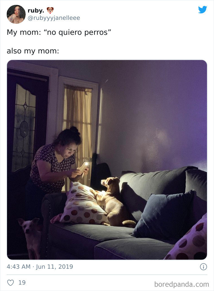 Latina-Moms-Who-Did-Not-Want-A-Dog