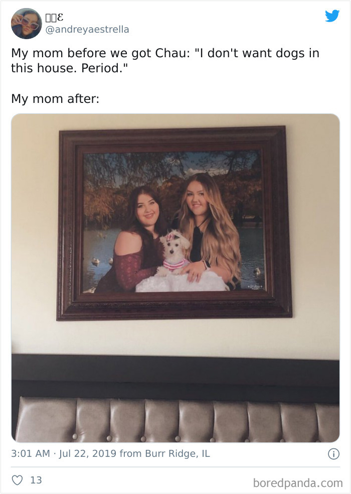 Latina-Moms-Who-Did-Not-Want-A-Dog