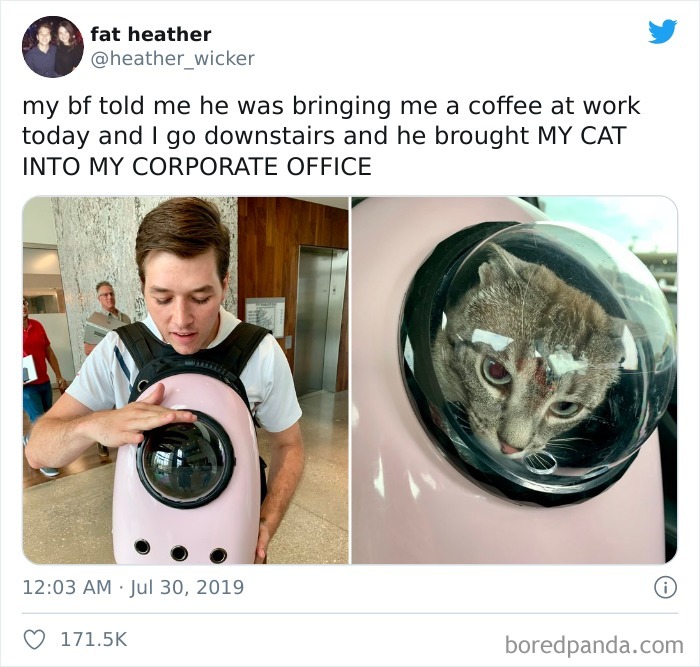 My BF Told Me He Was Bringing Me A Coffee At Work Today And I Go Downstairs And He Brought My Cat Into My Corporate Office