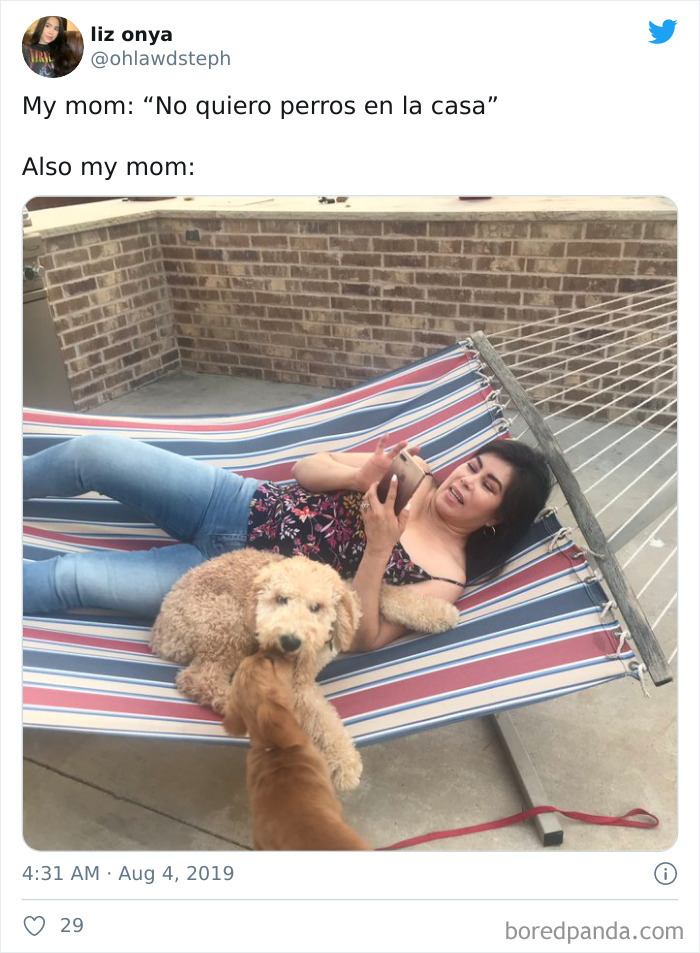 Latina-Moms-Who-Did-Not-Want-A-Dog