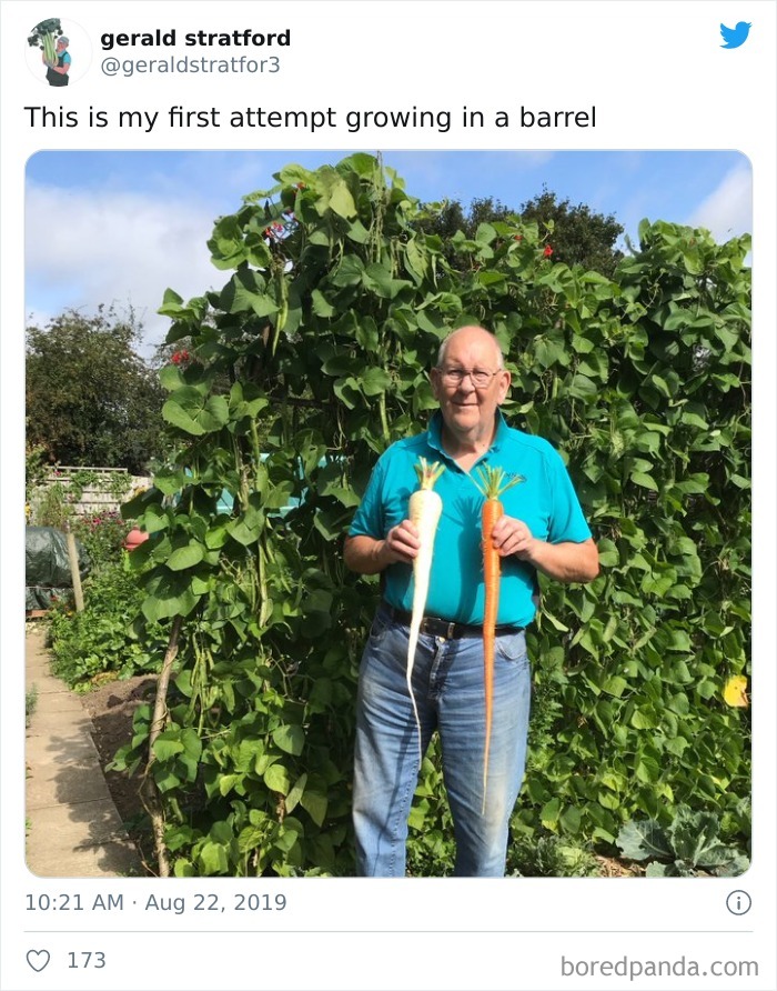 Gardener-Posts-Veggie-Photos-Gerald-Stratford