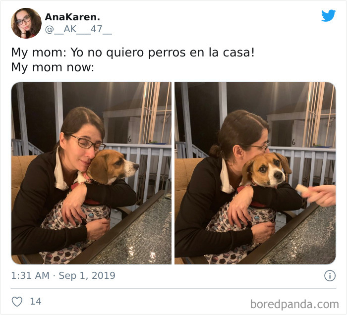Latina-Moms-Who-Did-Not-Want-A-Dog