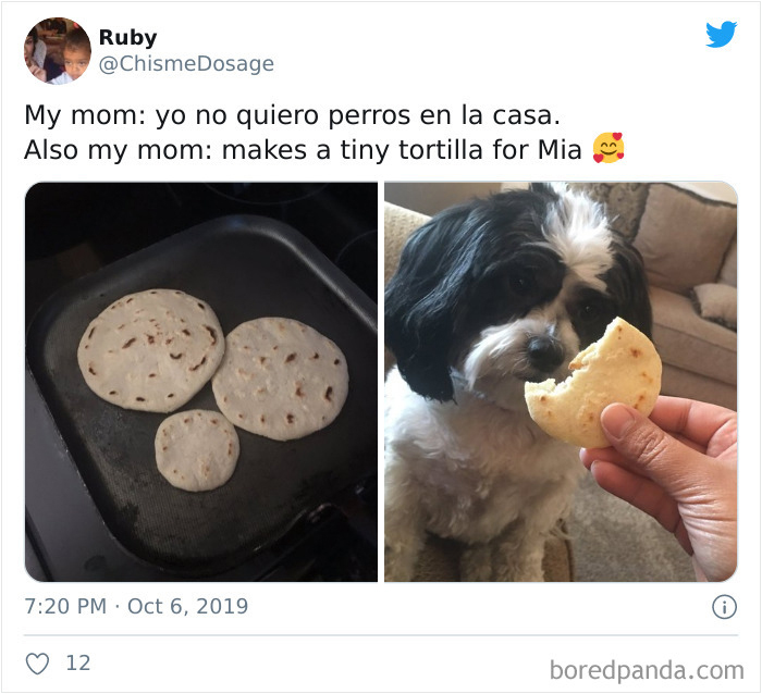 Latina-Moms-Who-Did-Not-Want-A-Dog