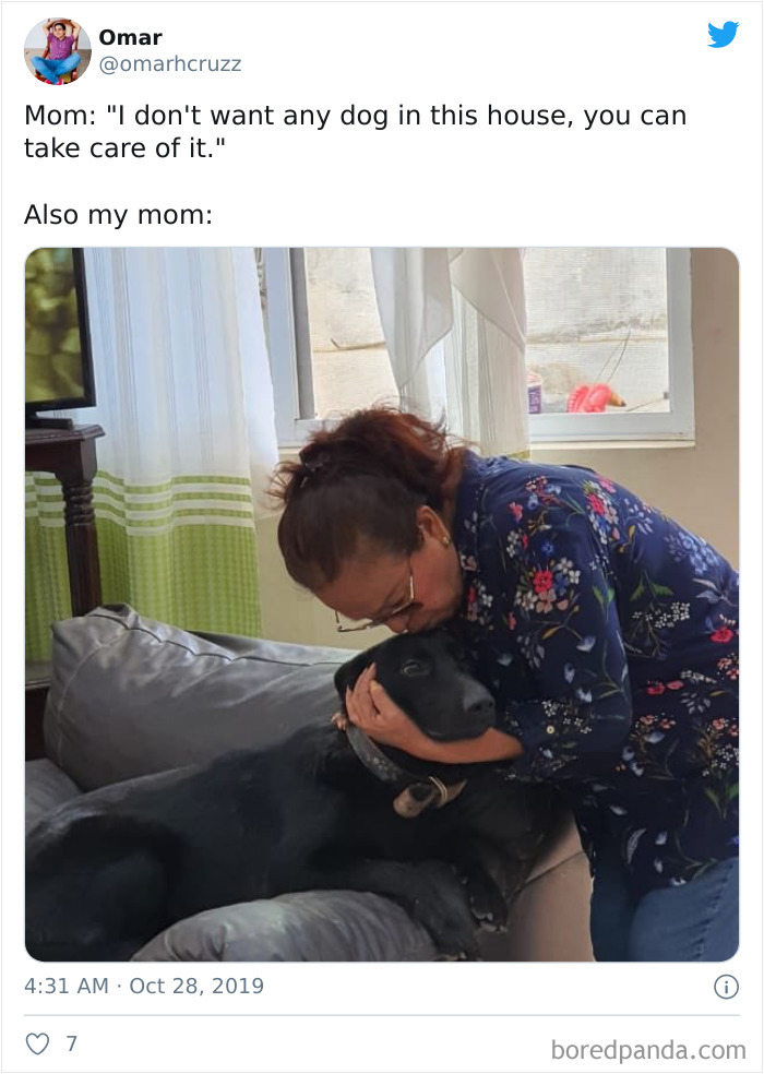 Latina-Moms-Who-Did-Not-Want-A-Dog