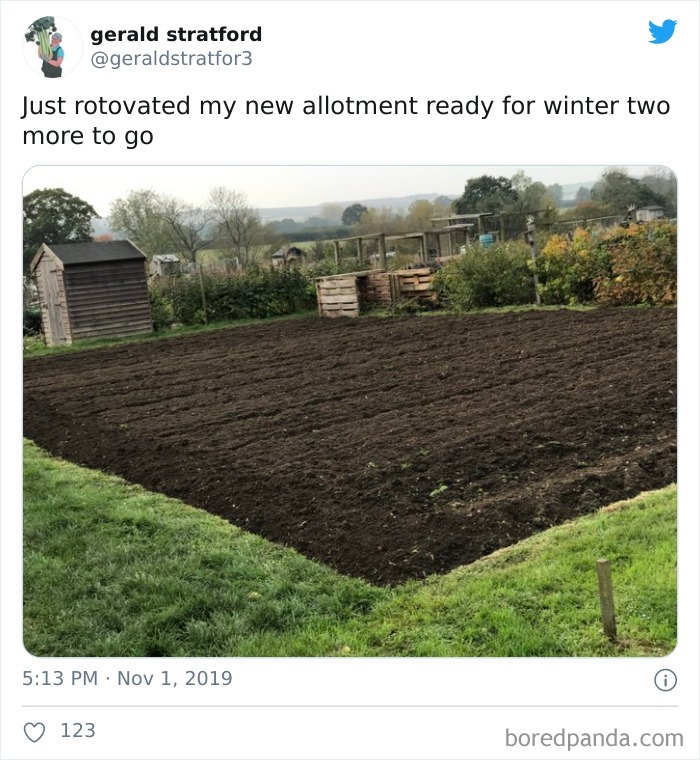 Gardener-Posts-Veggie-Photos-Gerald-Stratford