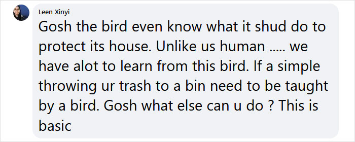 Guy Built A Bird Feeder That Accepts Bottle Caps For Food, And These Wild Magpies Love It