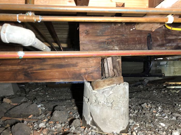 Bizarre-Structural-Inspections