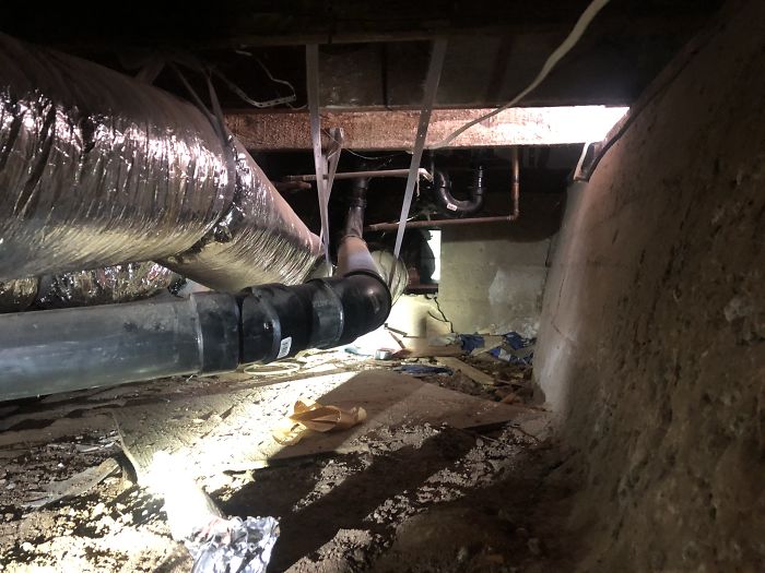 Bizarre-Structural-Inspections