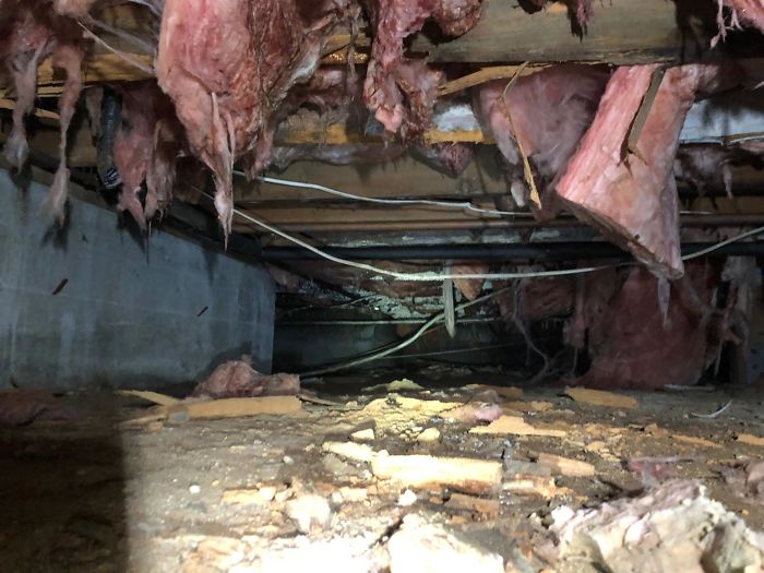 Bizarre-Structural-Inspections