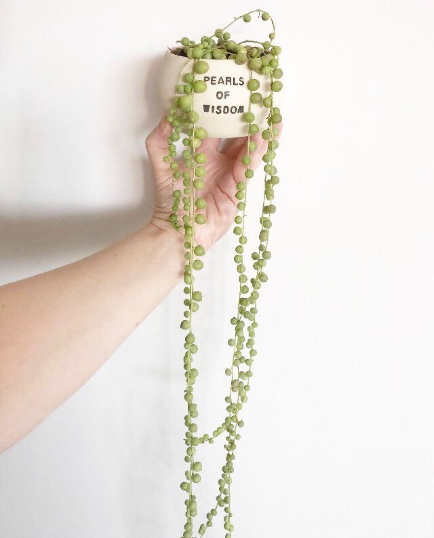 If Plants Could Talk, This Is What They'd Say...