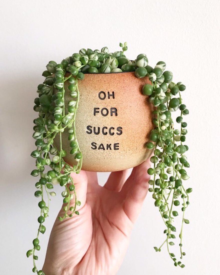 If Plants Could Talk, This Is What They'd Say...