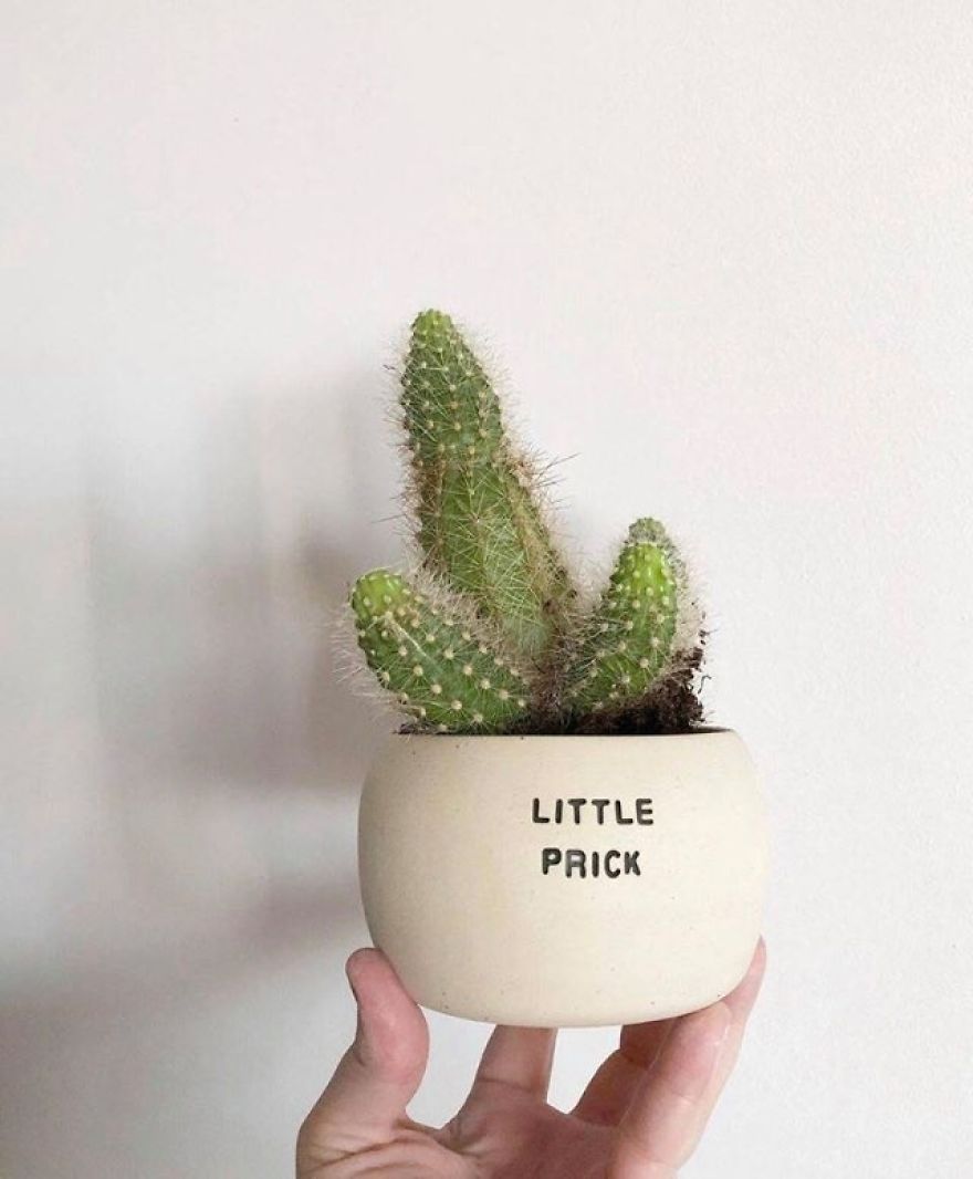 If Plants Could Talk, This Is What They'd Say...