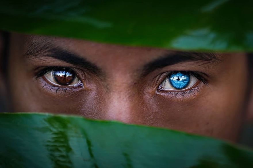 Photographer Discovers Members Of An Indonesian Tribe Who Have The Bluest Eyes Ever Seen