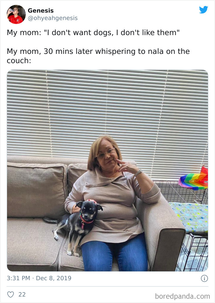 Latina-Moms-Who-Did-Not-Want-A-Dog