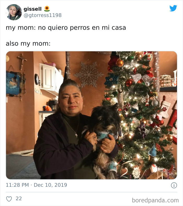 Latina-Moms-Who-Did-Not-Want-A-Dog