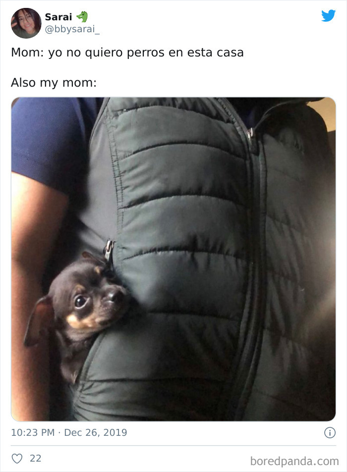 Latina-Moms-Who-Did-Not-Want-A-Dog